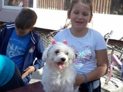 IMG_20191009_132841.jpg